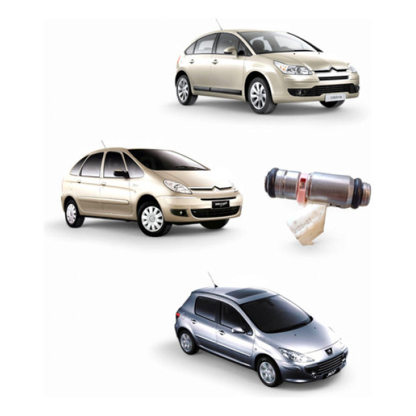 Bico Injetor Citroen C4 Picasso Peugeot 307 2.0 Iwp210