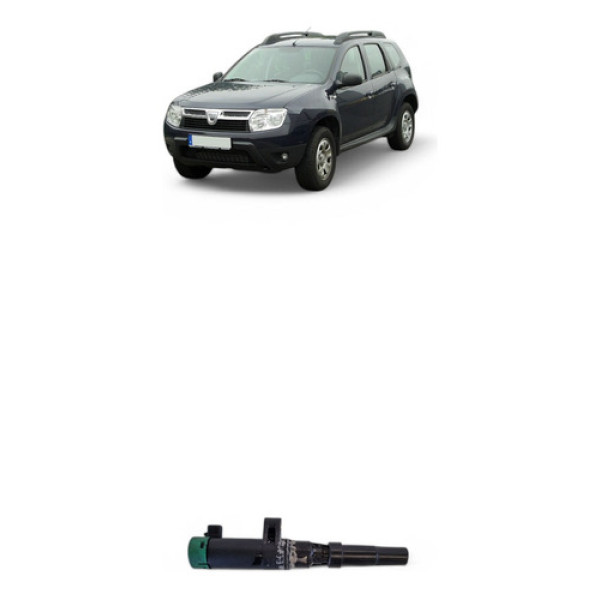 Bobina Ignição Renault Duster 1.6 2013 216031219